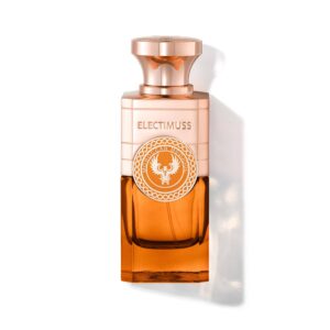 ELECTIMUSS - MOROCCAN MEDJOL